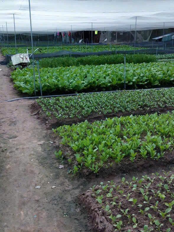 CÔNG TY TNHH THỰC PHẨM HAPPY FARM